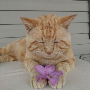 Meet your Posher, Macy